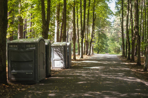 Best Affordable portable toilet rental  in Holiday Shores, IL